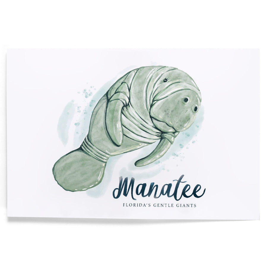 Manatee, Florida's Gentle Giant, Watercolor, Art & Giclee Prints Art Lantern Press 
