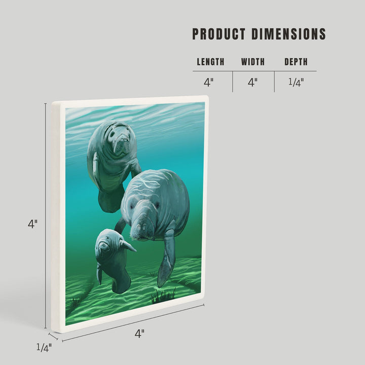 Manatees, Coasters Coasters Lantern Press 