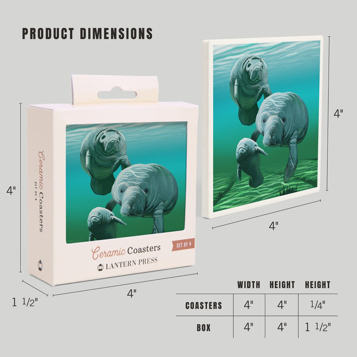 Manatees, Coasters Coasters Lantern Press 