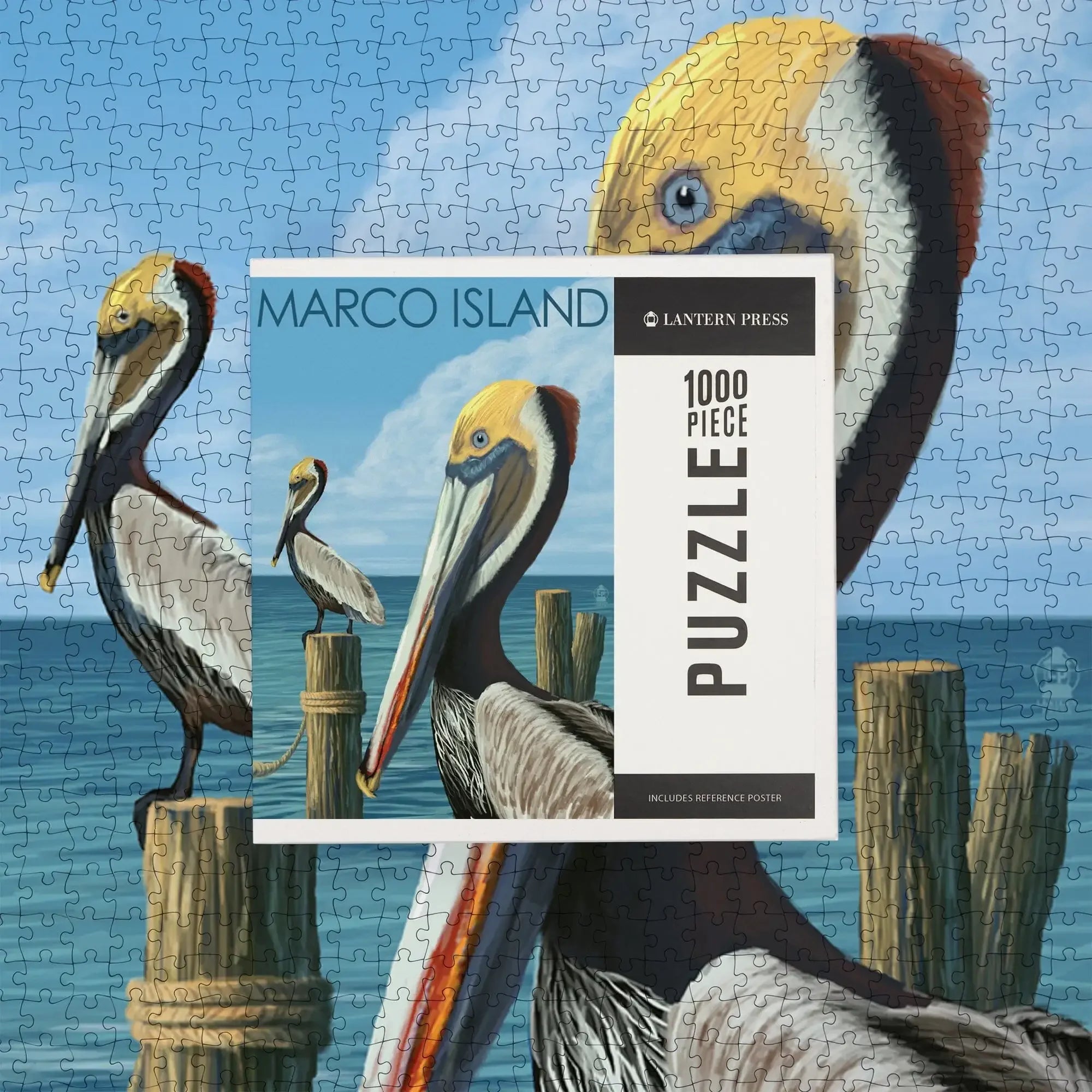 Marco Island, Florida, Pelicans, 1000 piece jigsaw puzzle