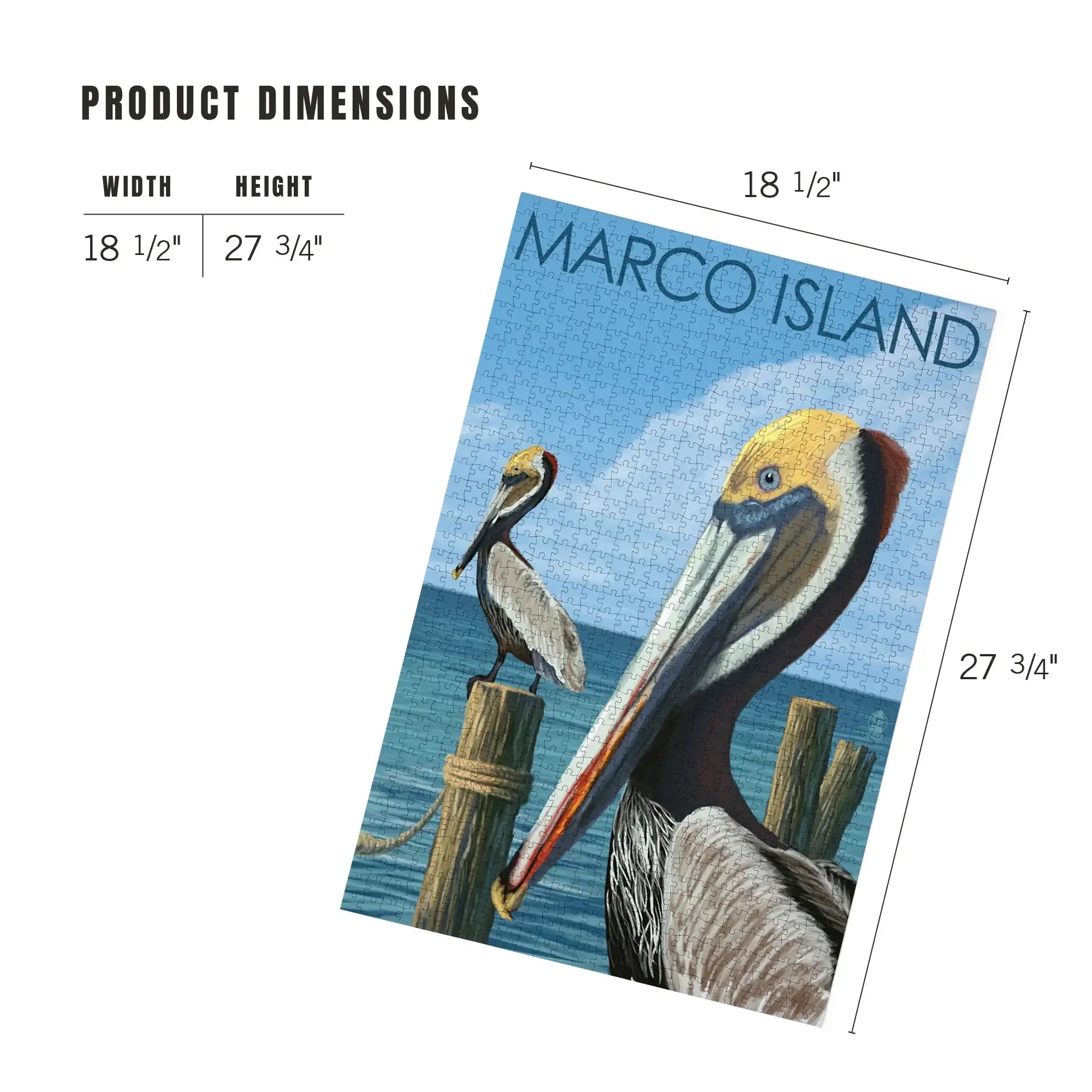 Marco Island, Florida, Pelicans, 1000 piece jigsaw puzzle