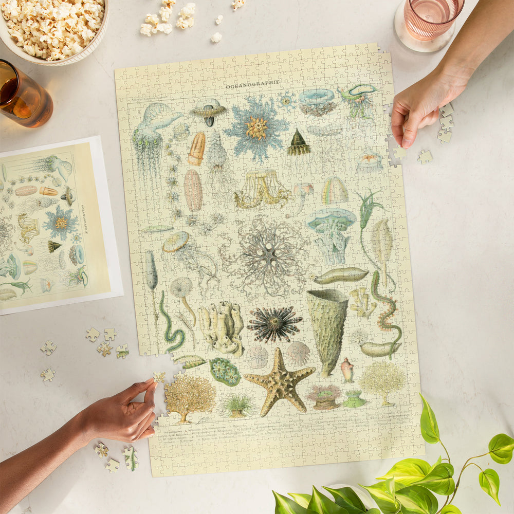 Marine Life, C, Vintage Bookplate, Adolphe Millot Artwork, Jigsaw Puzzle Puzzle Lantern Press 