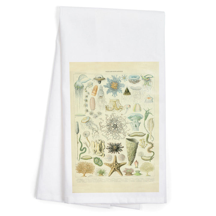 Marine Life, C, Vintage Bookplate, Adolphe Millot Artwork, Organic Cotton Kitchen Tea Towels Kitchen Lantern Press 