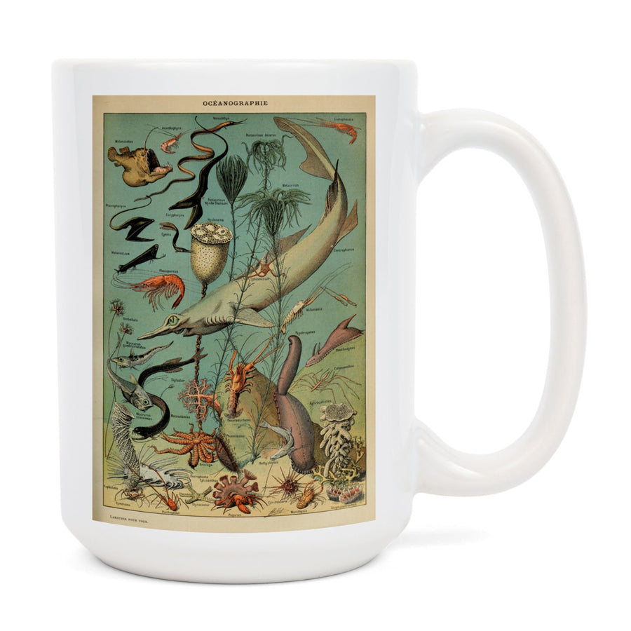 Marine Life, D, Vintage Bookplate, Adolphe Millot Artwork, Ceramic Mug - Lantern Press