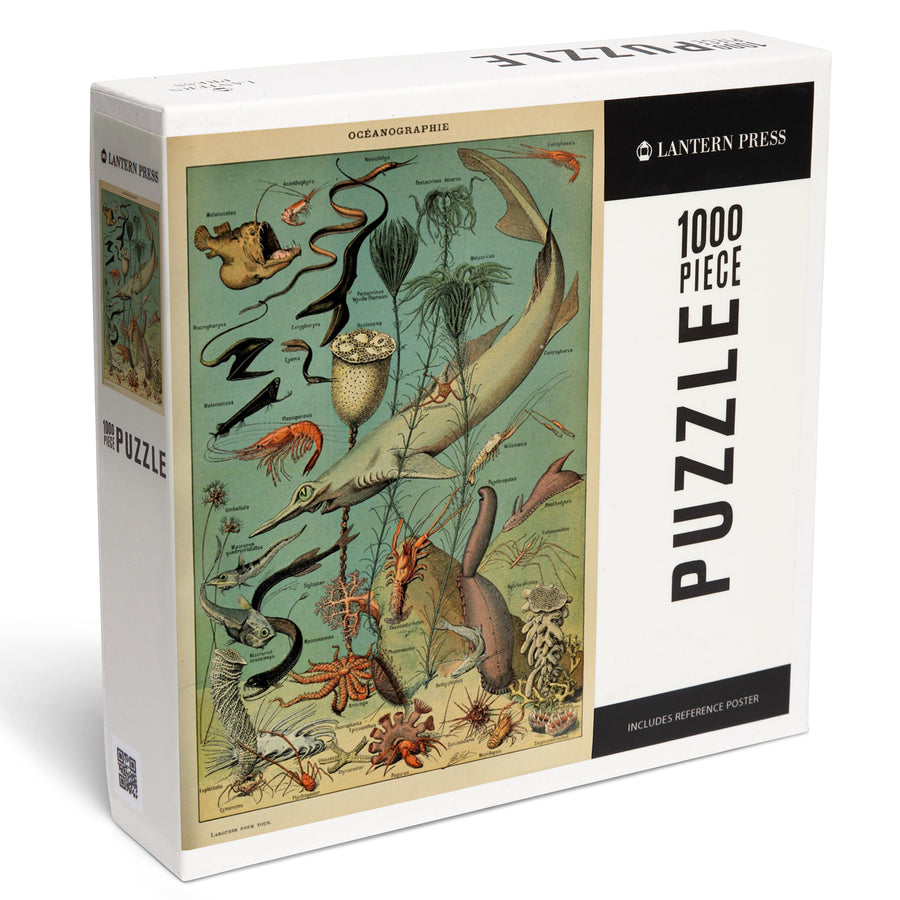 Marine Life, D, Vintage Bookplate, Adolphe Millot Artwork, Jigsaw Puzzle Puzzle Lantern Press 