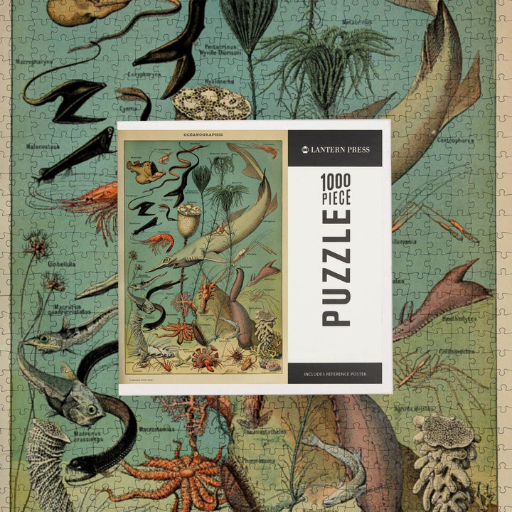 Marine Life, D, Vintage Bookplate, Adolphe Millot Artwork, Jigsaw Puzzle Puzzle Lantern Press 