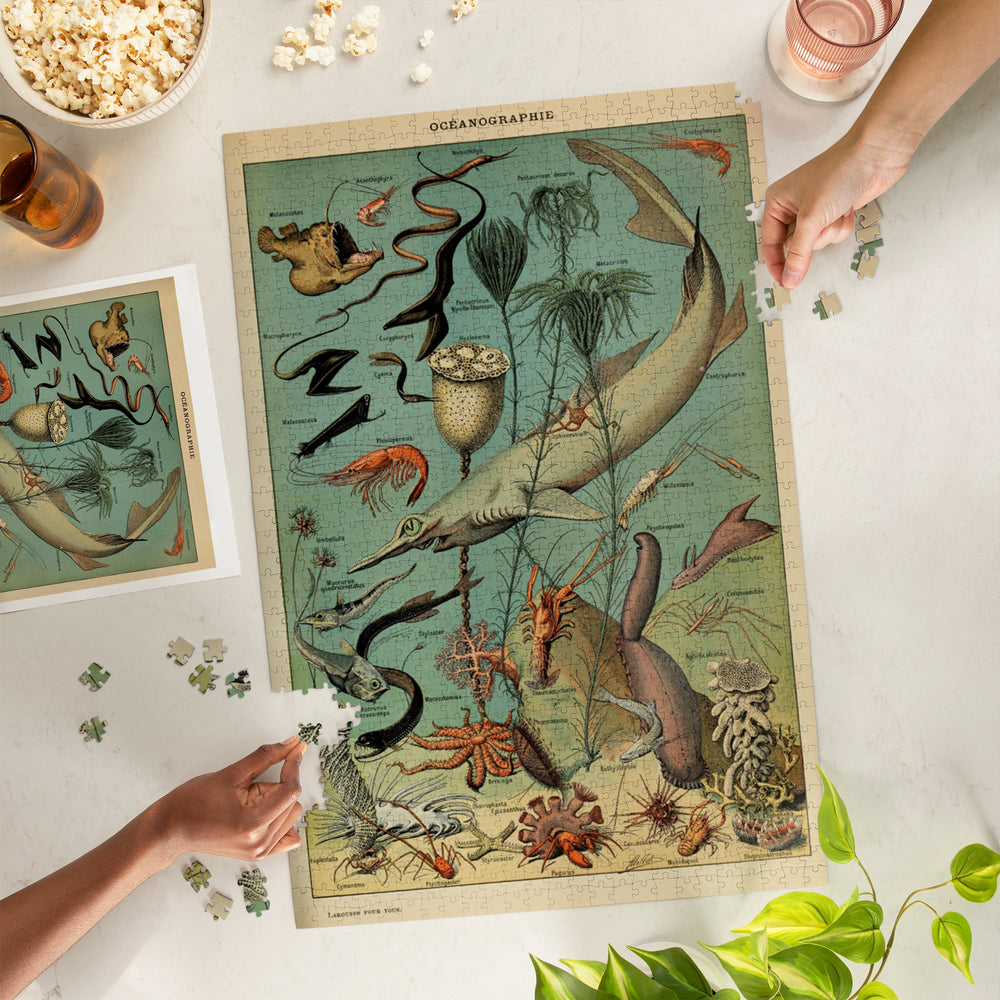 Marine Life, D, Vintage Bookplate, Adolphe Millot Artwork, Jigsaw Puzzle Puzzle Lantern Press 