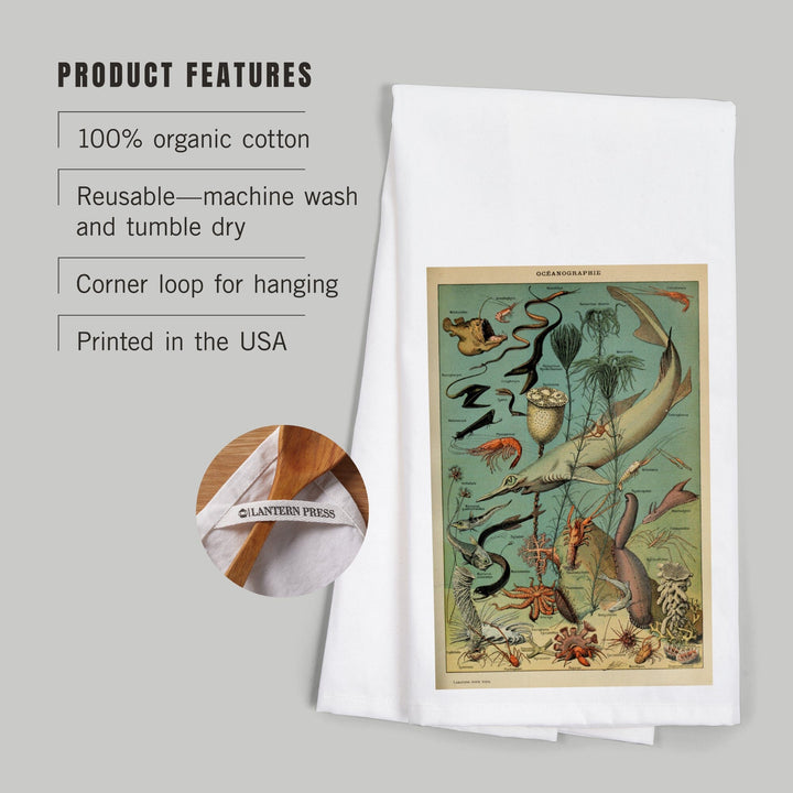 Marine Life, D, Vintage Bookplate, Adolphe Millot Artwork, Organic Cotton Kitchen Tea Towels Kitchen Lantern Press 