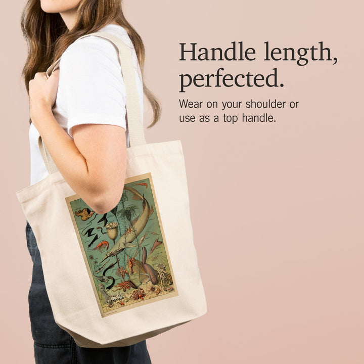 Marine Life, D, Vintage Bookplate, Adolphe Millot Artwork, Tote Bag Totes Lantern Press 