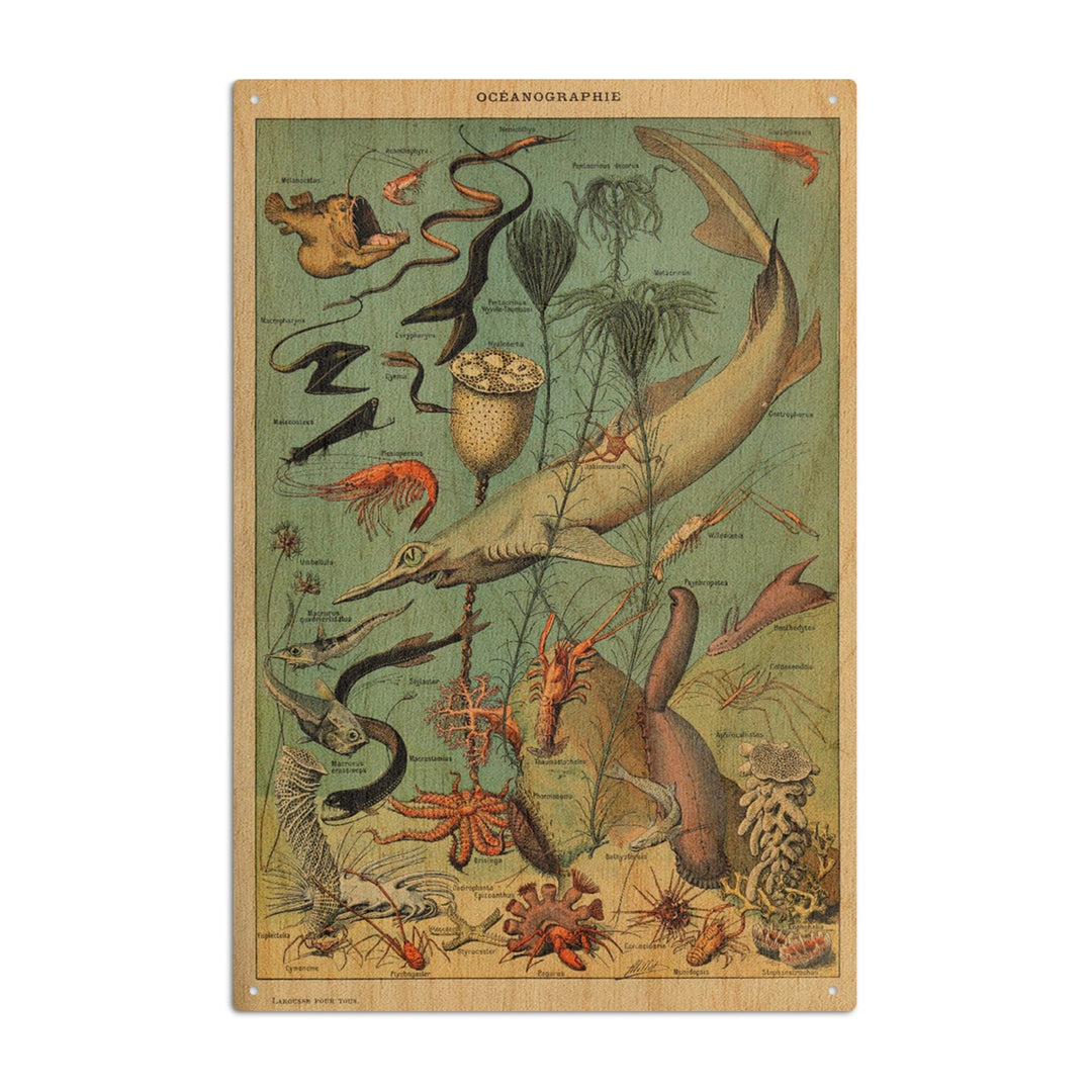 Marine Life, D, Vintage Bookplate, Adolphe Millot Artwork, Wood Signs and Postcards Wood Lantern Press 10 x 15 Wood Sign 
