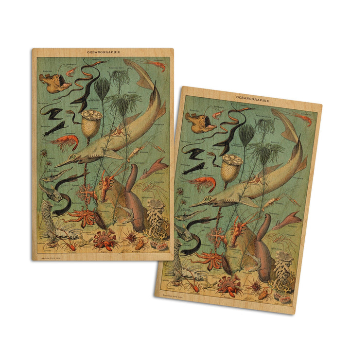 Marine Life, D, Vintage Bookplate, Adolphe Millot Artwork, Wood Signs and Postcards Wood Lantern Press 4x6 Wood Postcard Set 