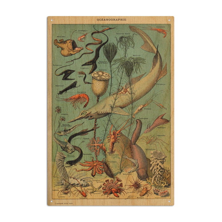 Marine Life, D, Vintage Bookplate, Adolphe Millot Artwork, Wood Signs and Postcards Wood Lantern Press 6x9 Wood Sign 