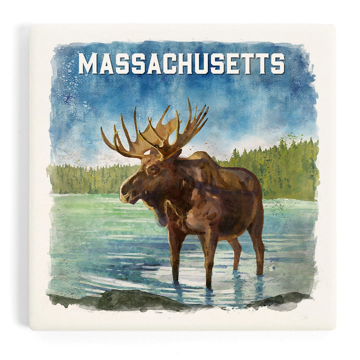 Massachusetts, Watercolor Study, Moose, Coasters Coasters Lantern Press Coaster 