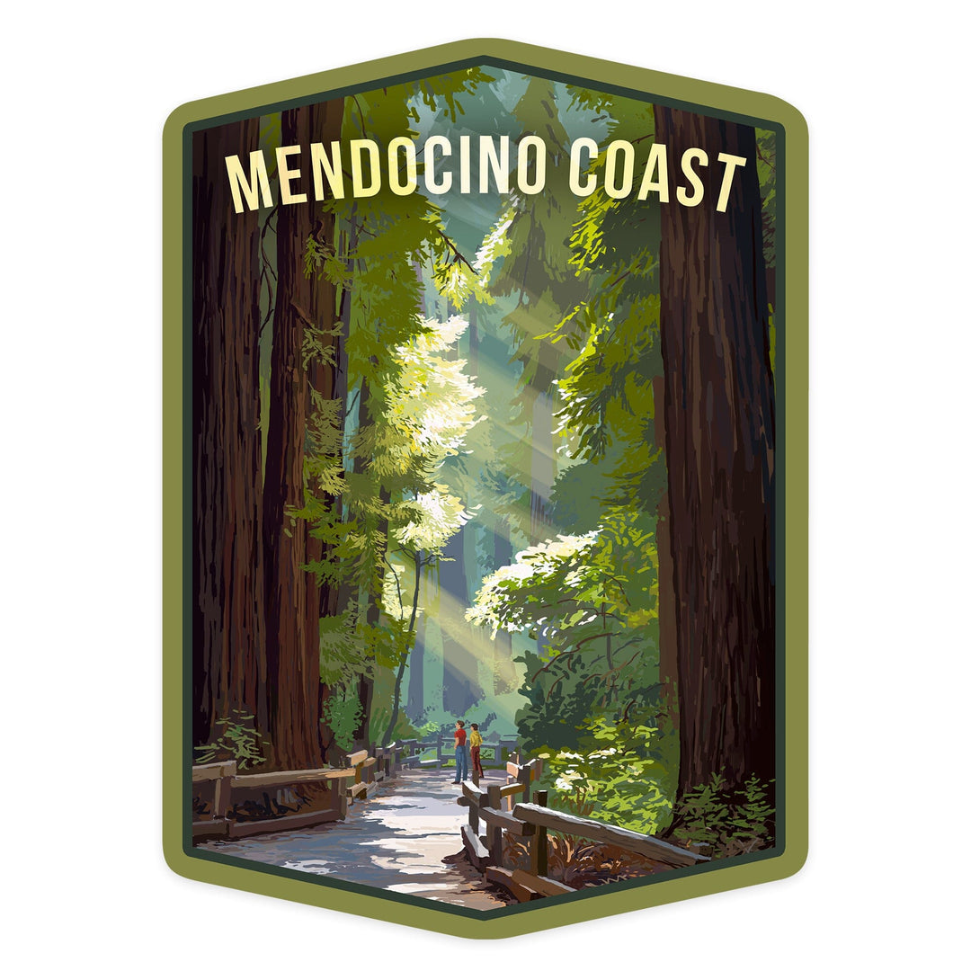 Mendocino, California, Pathways in Redwood Forest, Contour, Lantern Press Artwork, Vinyl Sticker Sticker Lantern Press 