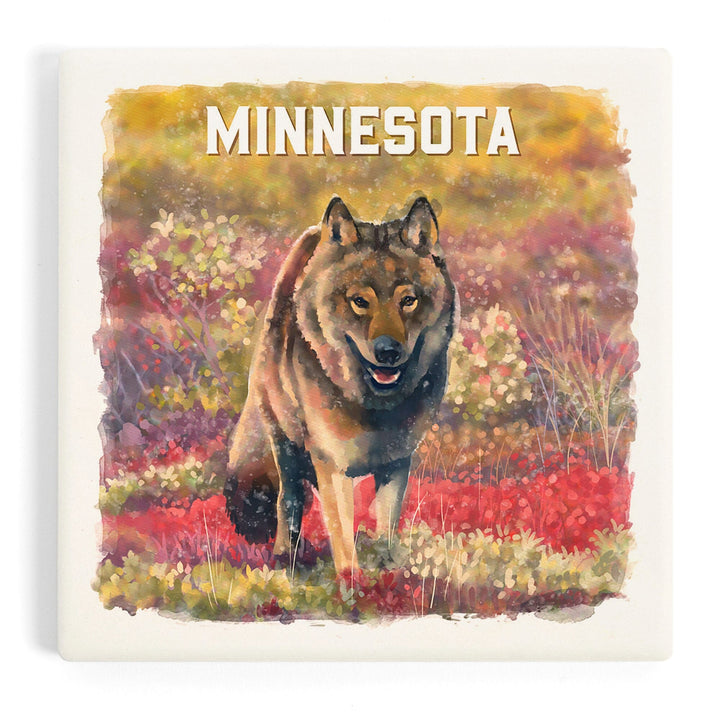 Minnesota, Watercolor Study, Gray Wolf, Coasters Coasters Lantern Press 
