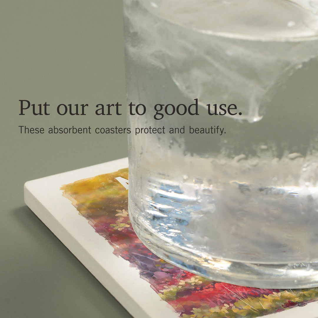 Minnesota, Watercolor Study, Gray Wolf, Coasters Coasters Lantern Press 