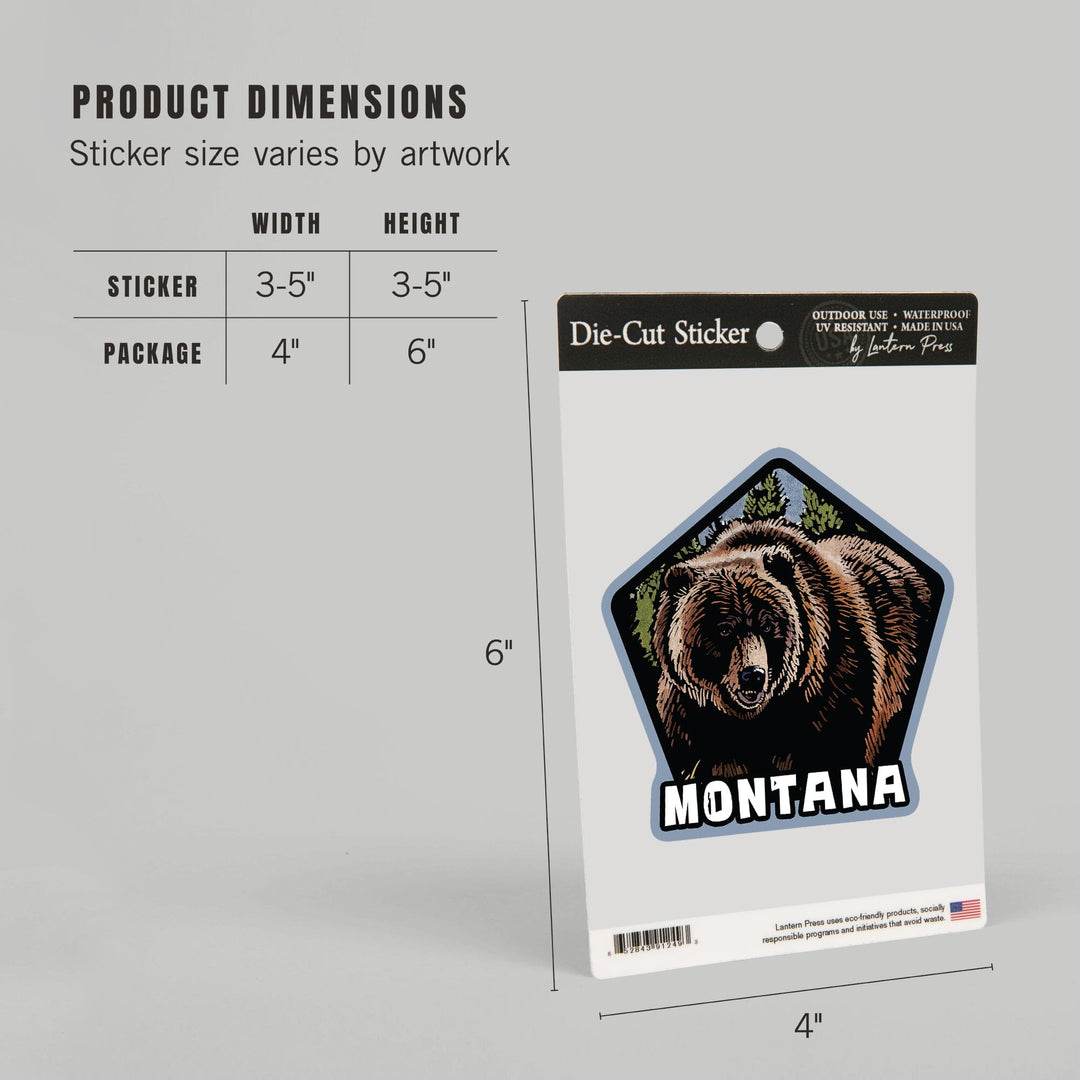 Montana, Grizzly Bear, Scratchboard, Contour, Lantern Press Artwork, Vinyl Sticker Sticker Lantern Press 