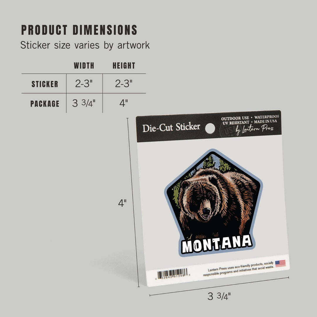 Montana, Grizzly Bear, Scratchboard, Contour, Lantern Press Artwork, Vinyl Sticker Sticker Lantern Press 