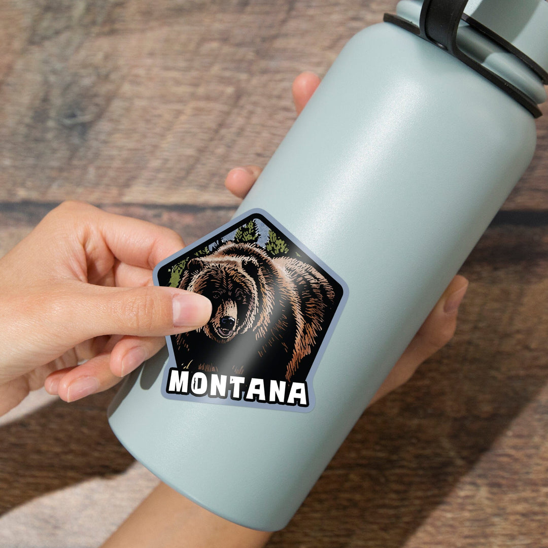 Montana, Grizzly Bear, Scratchboard, Contour, Lantern Press Artwork, Vinyl Sticker Sticker Lantern Press 