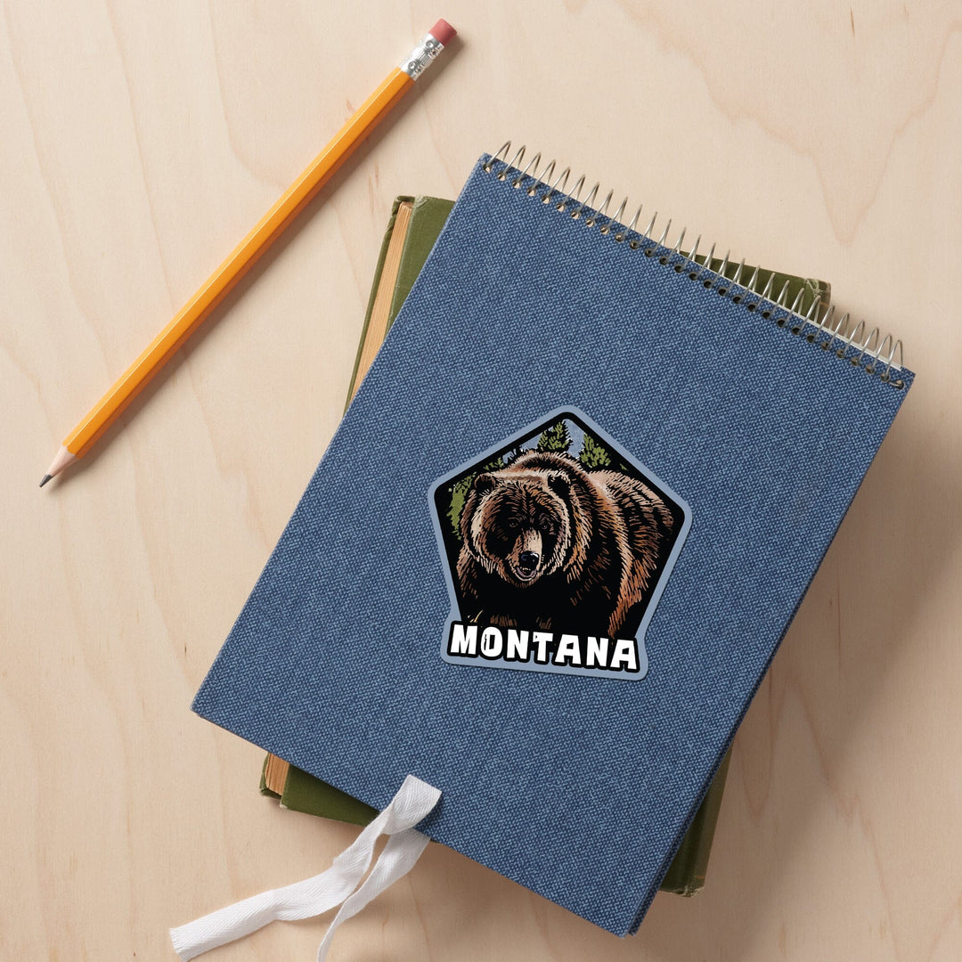 Montana, Grizzly Bear, Scratchboard, Contour, Lantern Press Artwork, Vinyl Sticker Sticker Lantern Press 