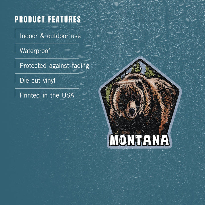 Montana, Grizzly Bear, Scratchboard, Contour, Lantern Press Artwork, Vinyl Sticker Sticker Lantern Press 