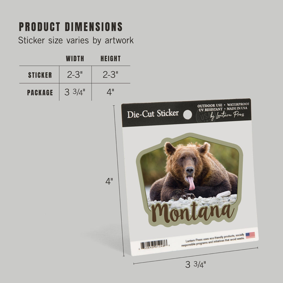 Montana, Grizzly Bear with Tongue Out, Contour, Vinyl Sticker Sticker Lantern Press 