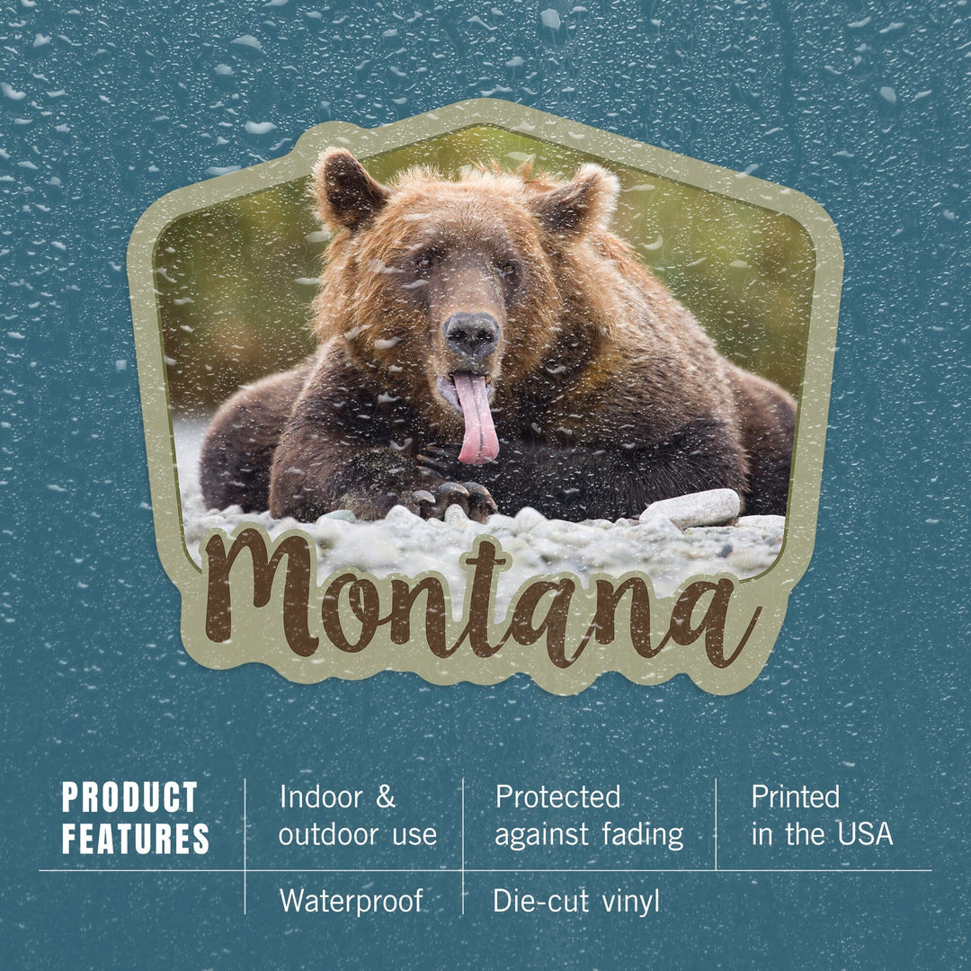 Montana, Grizzly Bear with Tongue Out, Contour, Vinyl Sticker Sticker Lantern Press 