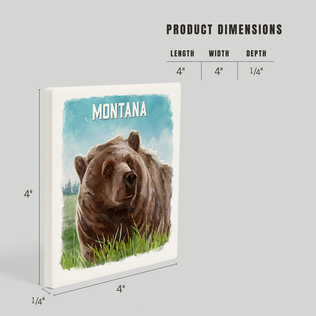 Montana, Watercolor Study, Grizzly Bear, Coasters Coasters Lantern Press 