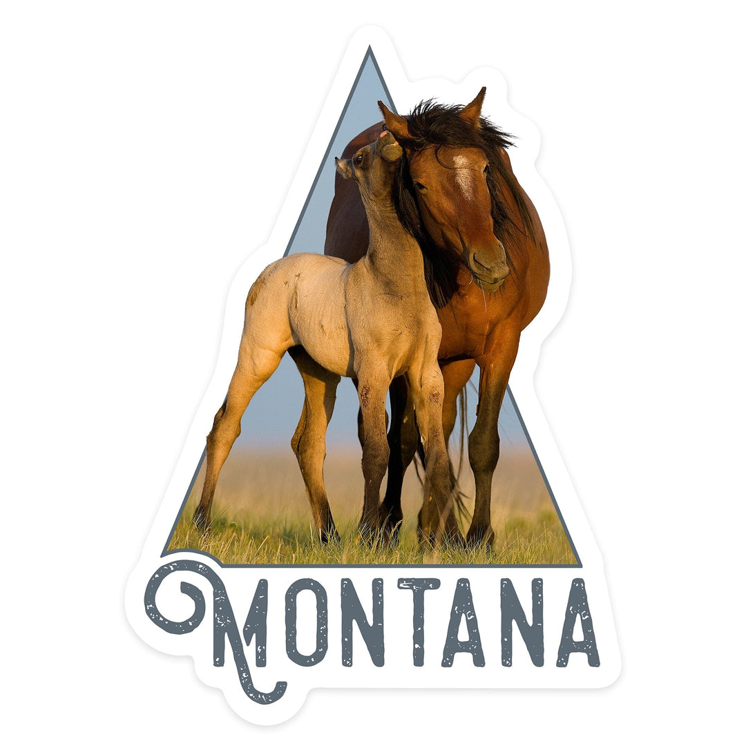 Montana, Wild Horse and Young, Contour, Lantern Press Photography (James T. Jones), Vinyl Sticker Sticker Lantern Press 