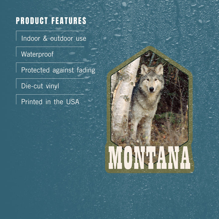 Montana, Wolf in Forest, Contour, Lantern Press Photography (James T. Jones), Vinyl Sticker Sticker Lantern Press 