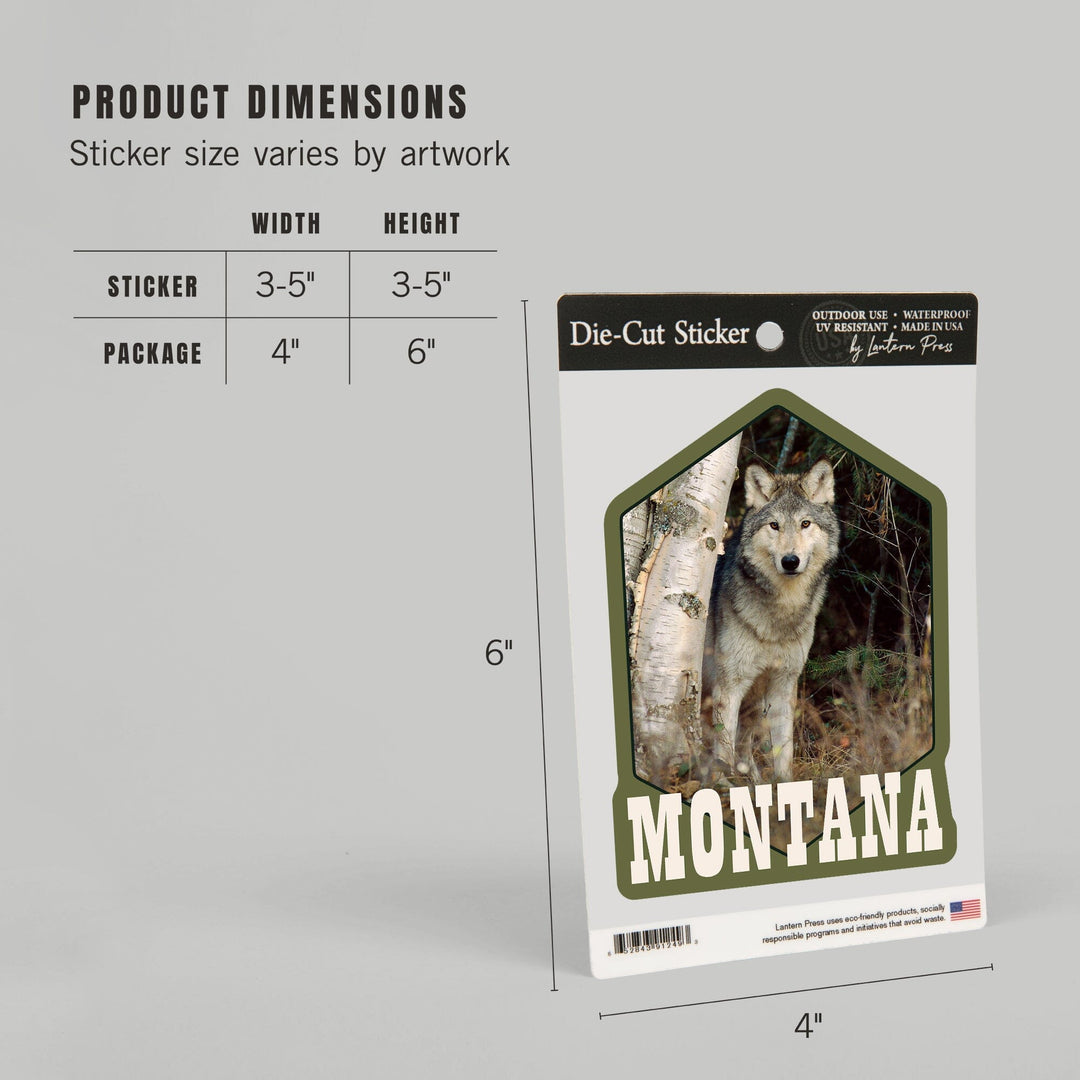 Montana, Wolf in Forest, Contour, Lantern Press Photography (James T. Jones), Vinyl Sticker Sticker Lantern Press 