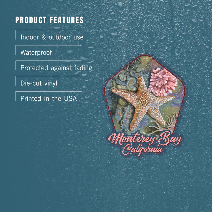 Monterey Bay, California, Tidepool, Contour, Vinyl Sticker Sticker Lantern Press 