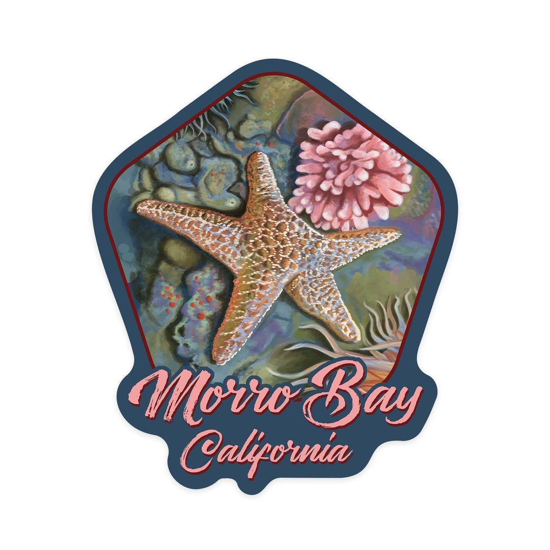 Morro Bay, California, Tidepool, Contour, Vinyl Sticker Sticker Lantern Press 