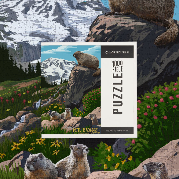 Mount Evans, Colorado, Marmots, Elevation, Jigsaw Puzzle Puzzle Lantern Press 
