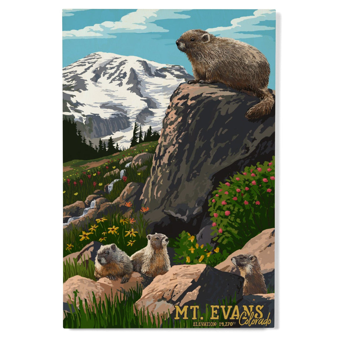 Mount Evans, Colorado, Marmots, Elevation, Lantern Press Artwork, Wood Signs and Postcards Wood Lantern Press 