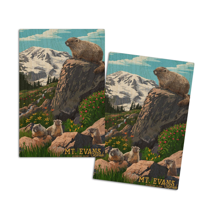 Mount Evans, Colorado, Marmots, Elevation, Lantern Press Artwork, Wood Signs and Postcards Wood Lantern Press 4x6 Wood Postcard Set 