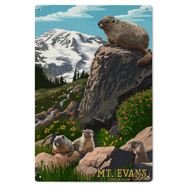 Mount Evans, Colorado, Marmots, Elevation, Lantern Press Artwork, Wood Signs and Postcards Wood Lantern Press 