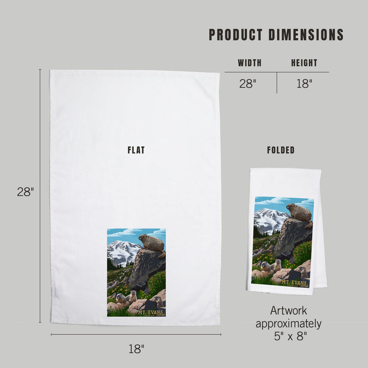 Mount Evans, Colorado, Marmots, Elevation, Organic Cotton Kitchen Tea Towels Kitchen Lantern Press 