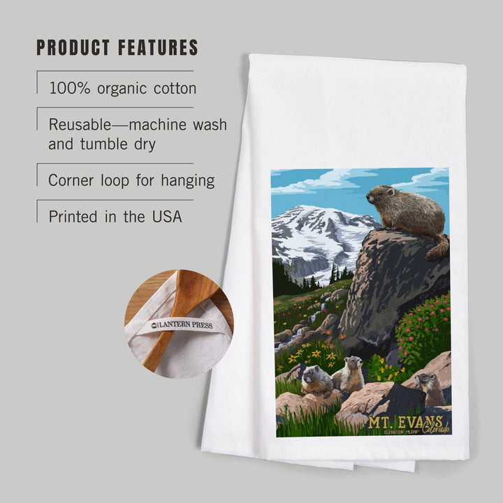 Mount Evans, Colorado, Marmots, Elevation, Organic Cotton Kitchen Tea Towels Kitchen Lantern Press 