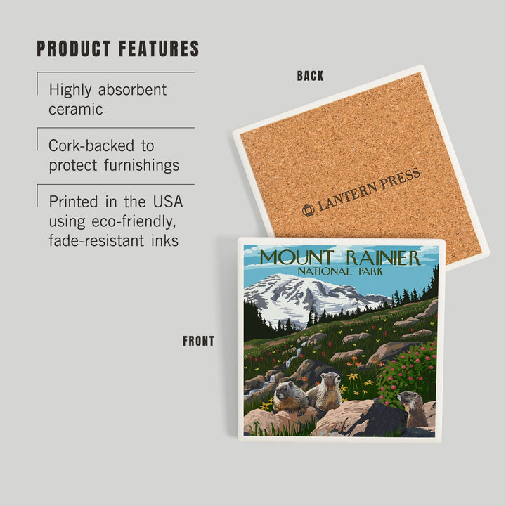 Mount Rainier National Park, Washington, Meadow and Marmots, Coasters Coasters Lantern Press 