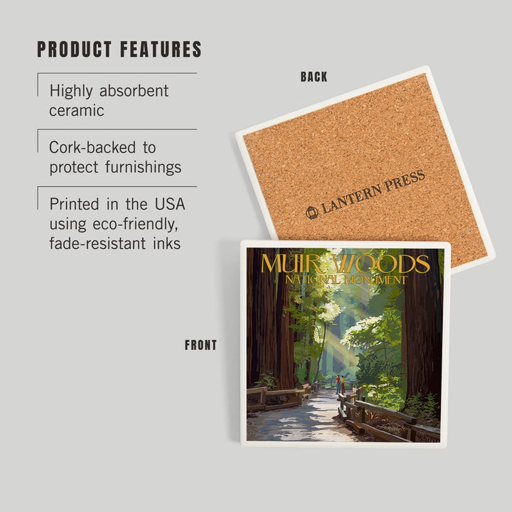 Muir Woods National Monument, California, Pathway, Coasters Coasters Lantern Press 