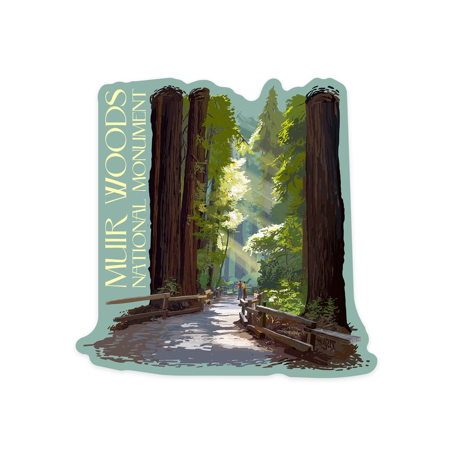 Muir Woods National Monument, California, Pathway, Contour, Lantern Press Artwork, Vinyl Sticker Sticker Lantern Press 