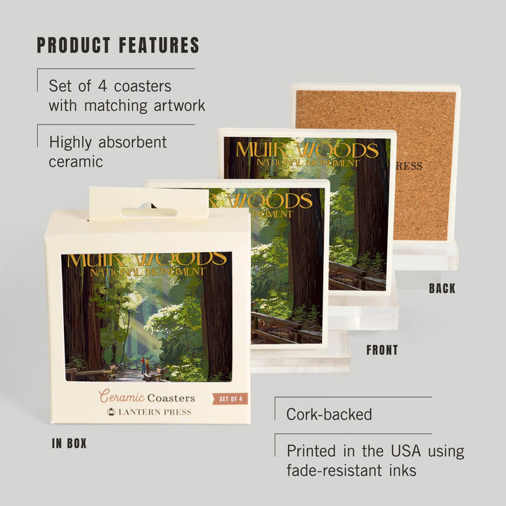 Muir Woods National Monument, California, Pathway, Lantern Press Artwork, Coaster Set Coasters Lantern Press 