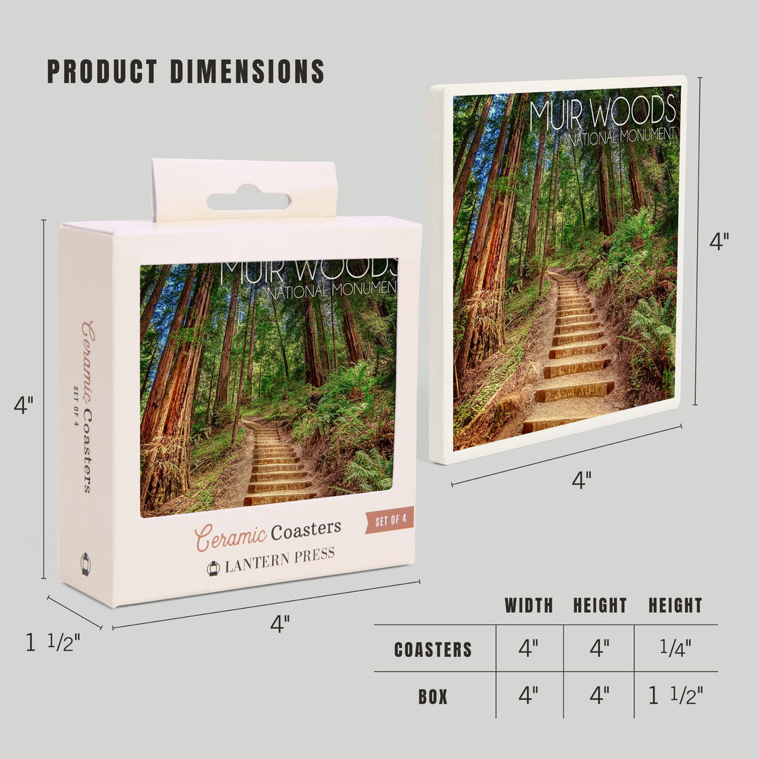 Muir Woods National Monument, California, Stairs Photograph, Coaster Set Coasters Lantern Press 