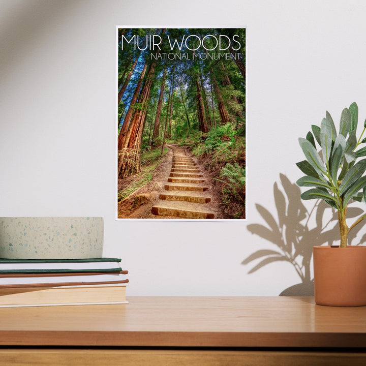 Muir Woods National Monument, California, Stairs, Photography, Art & Giclee Prints Art Lantern Press 