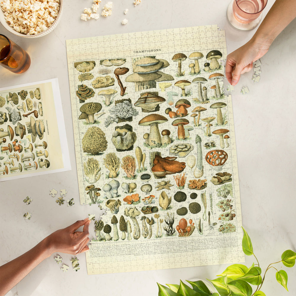 Mushrooms, A, Vintage Bookplate, Adolphe Millot Artwork, Jigsaw Puzzle Puzzle Lantern Press 