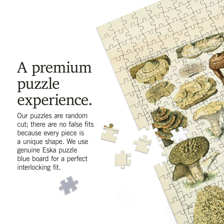Mushrooms, A, Vintage Bookplate, Adolphe Millot Artwork, Jigsaw Puzzle Puzzle Lantern Press 