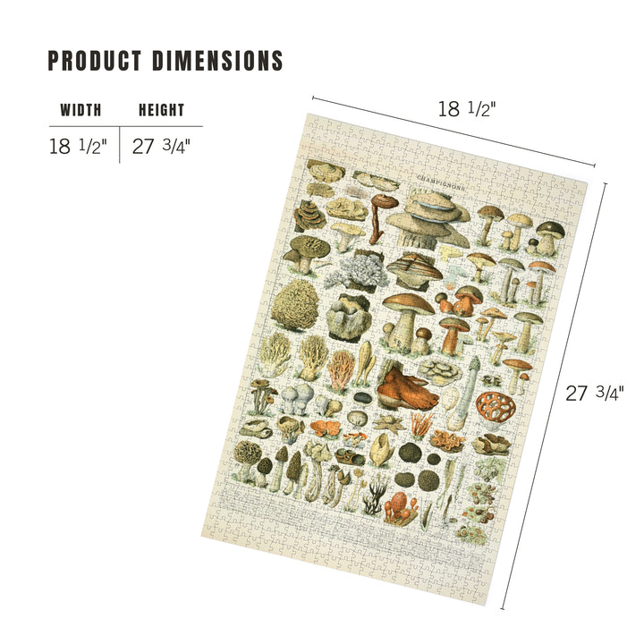Mushrooms, A, Vintage Bookplate, Adolphe Millot Artwork, Jigsaw Puzzle Puzzle Lantern Press 