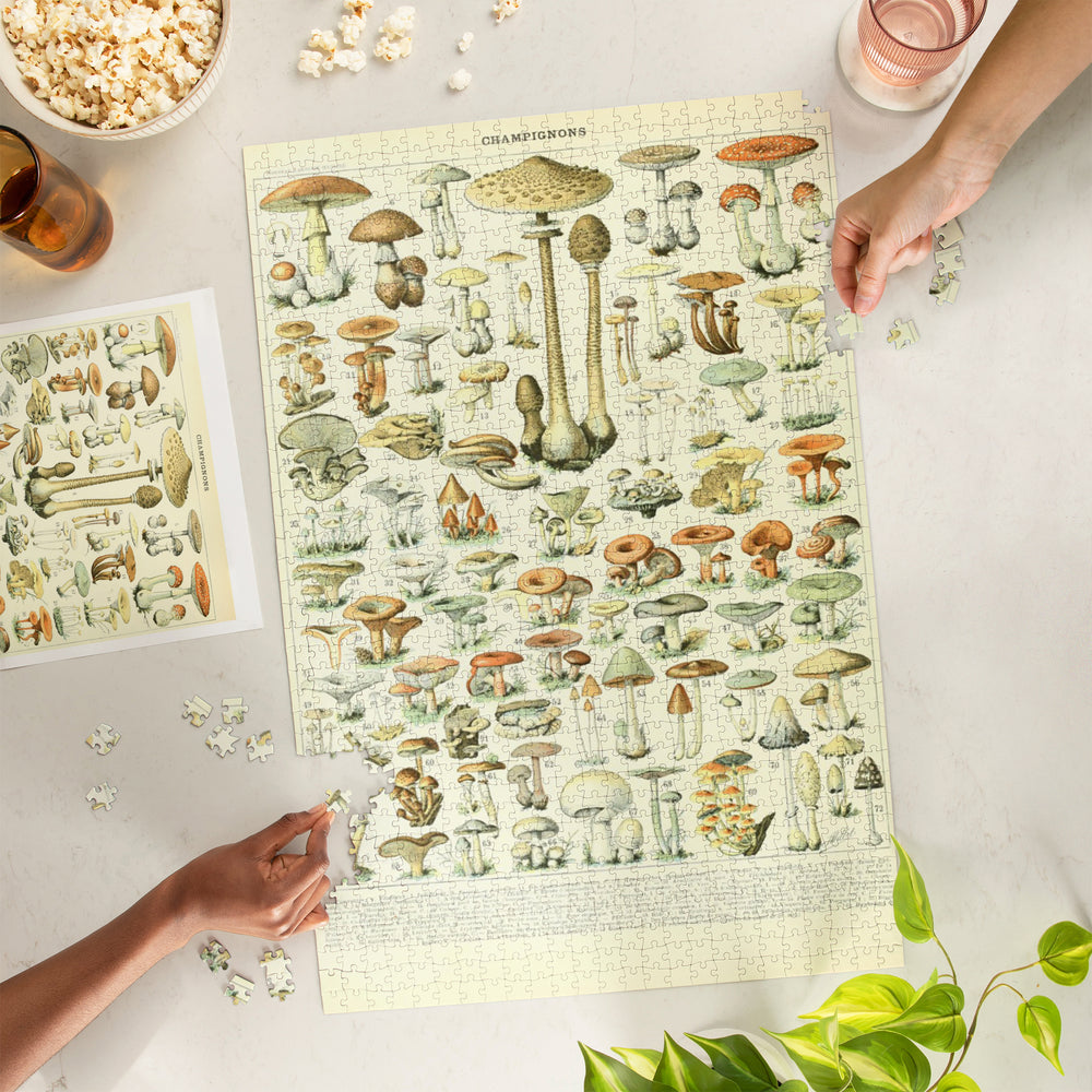 Mushrooms, B, Vintage Bookplate, Adolphe Millot Artwork, Jigsaw Puzzle Puzzle Lantern Press 