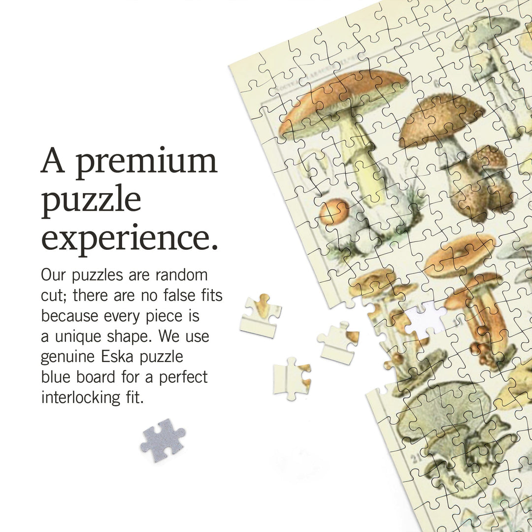 Mushrooms, B, Vintage Bookplate, Adolphe Millot Artwork, Jigsaw Puzzle Puzzle Lantern Press 
